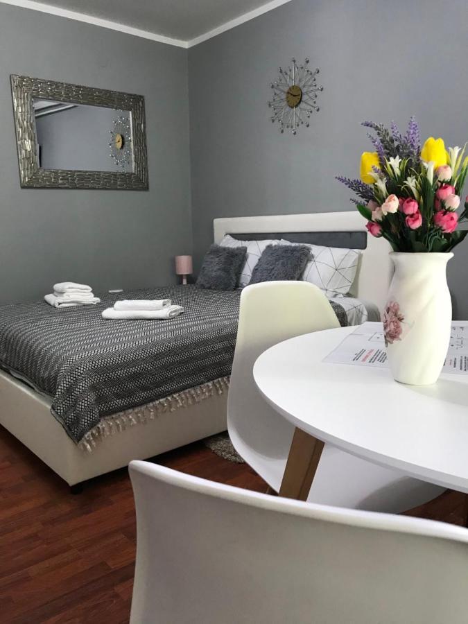 Apartman Studio Pavle I Petra Sremski Karlovci Exterior photo