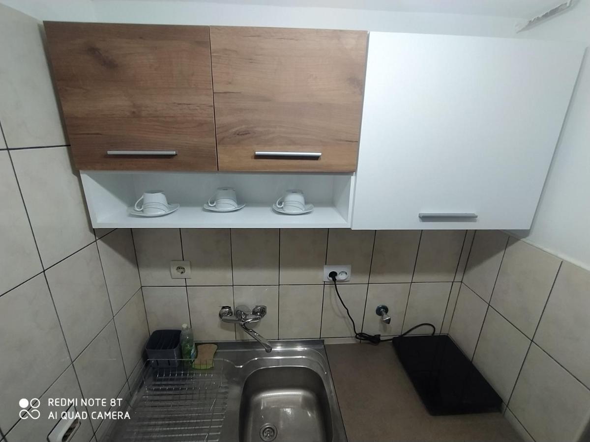 Apartman Studio Pavle I Petra Sremski Karlovci Exterior photo