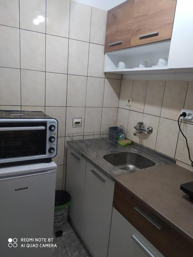 Apartman Studio Pavle I Petra Sremski Karlovci Exterior photo